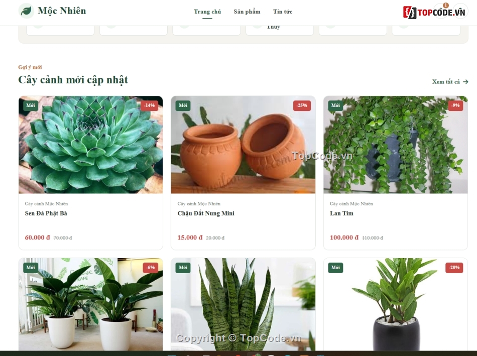 bán cây cảnh,cây cảnh,bán